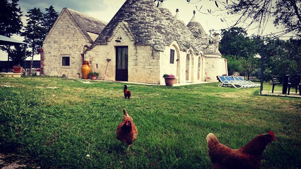B&B Masseria Nardelli Локоротондо Екстериор снимка